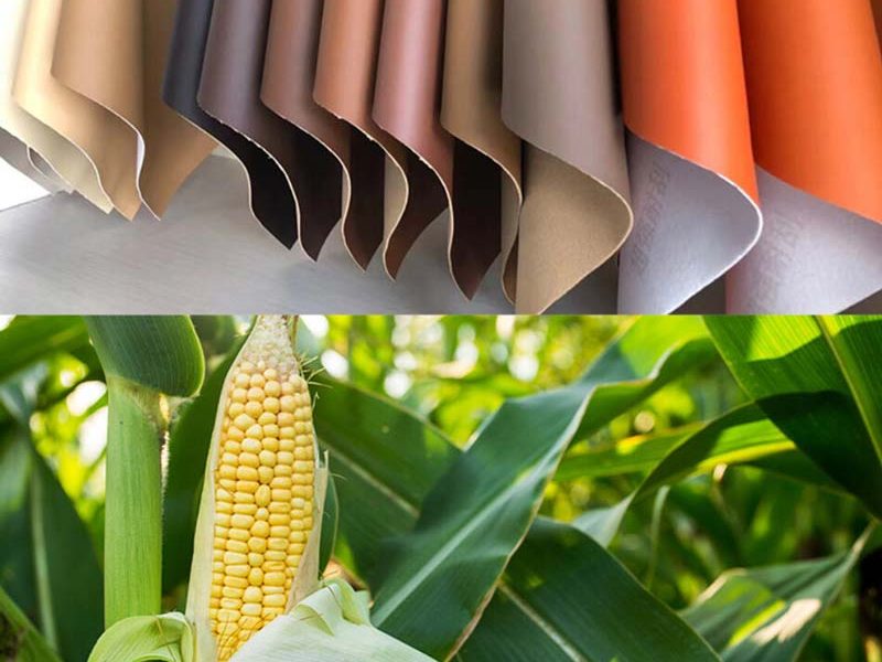 The Complete Guide To Plant-Based Leather: What Is Plant-Based Leather -  HZCORK